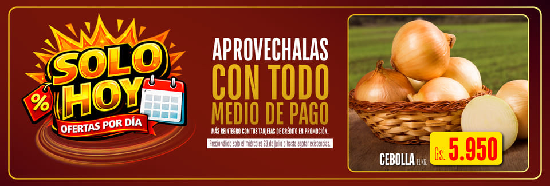 SPH- Cebolla