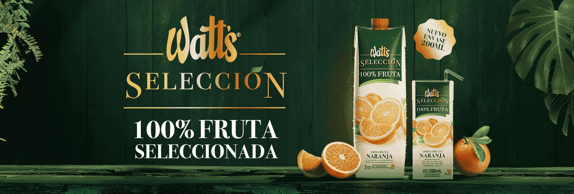 Watts-Algo-Rico